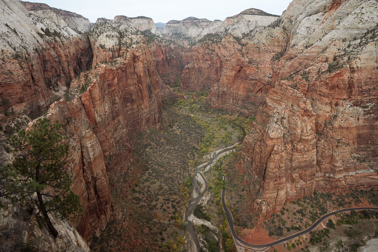overview of the backside of zion national park atop angel's landing.